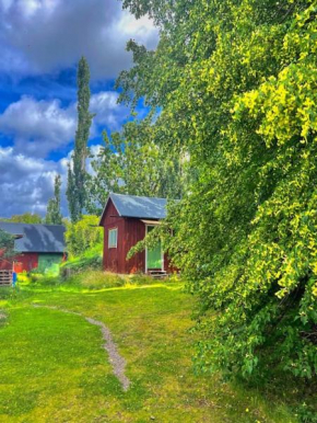Hedehagens Hemlighet, Mariestad